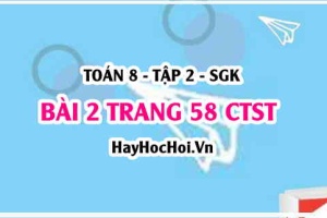 Bài 2 trang 58 Toán 8 Tập 2 Chân trời sáng tạo